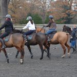 minninnooka polo lessons kids polo lessons learn to play polo