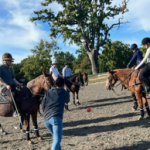 Minninooka polo lessons