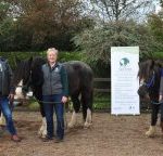 equi scotia mental health courses equine education