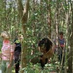 equi scotia mental health courses equine education
