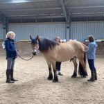equi scotia mental health courses equine education