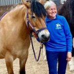 equi scotia mental health courses equine education