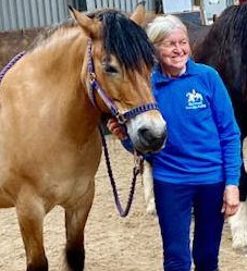 equi scotia mental health courses equine education