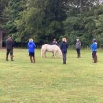 equi scotia mental health courses equine education